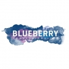 Blueberry Travel Services
