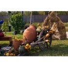 ტურები საქართველოში