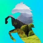 საცხენოსნო ტურები ბორჯომში