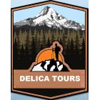 დელიკა ტური საქართველო