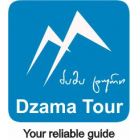 Dzama Tour