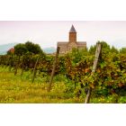 ტურისტული კომპანია