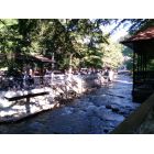 ტურისტული კომპანია