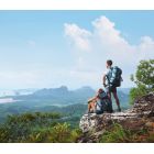 სმარტ თრეველი