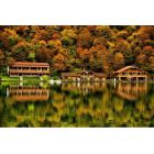 საქართველო