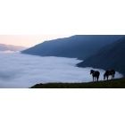 ПУТЕШЕСТВУЙТЕ И ОТДЫХАЙТЕ В ГРУЗИИ