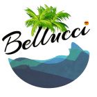 Travel Company "Bellucci"