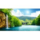 ტურისტული კომპანია