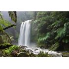 ტურისტული კომპანია