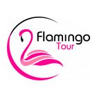 Flamingo Tour Georgia