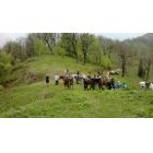 ბორჯომის საცხენოსნო ტურები- borjomi horse tours-