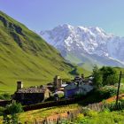 turebi saqartvelosshi