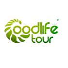 Good Life Tour