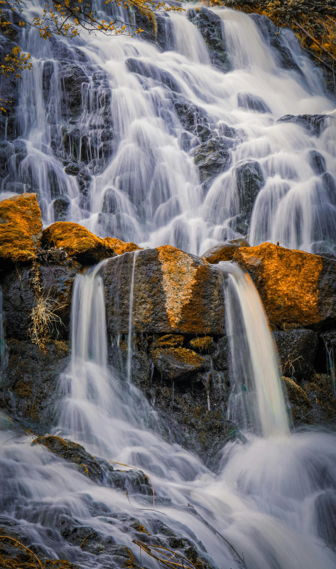 შვედეთი