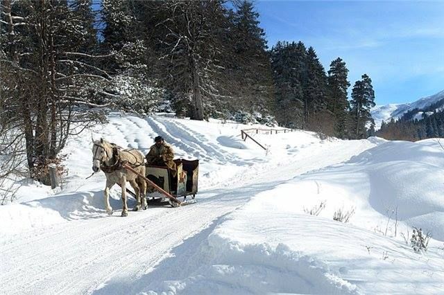 ბაკურიანის ახალი კოტეჯი