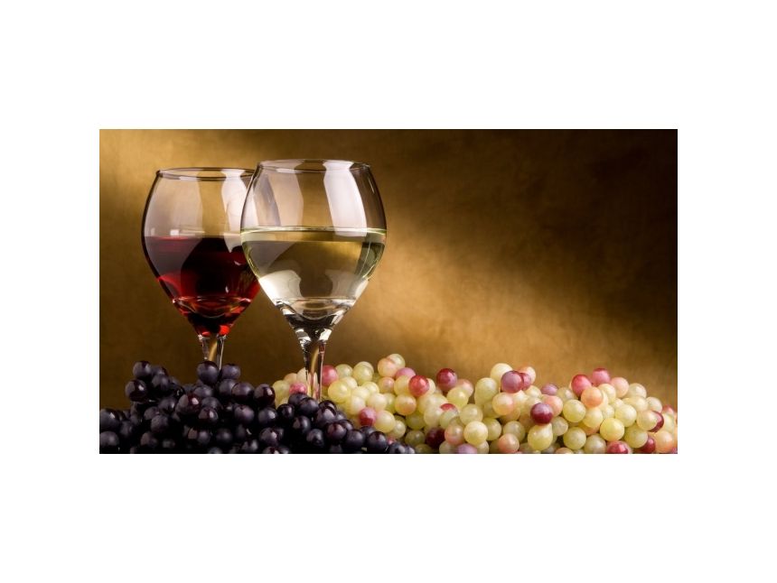 ღვინის ტური - ბოდბე -სიღნაღი ! ღვინის დეგუსტაცია !