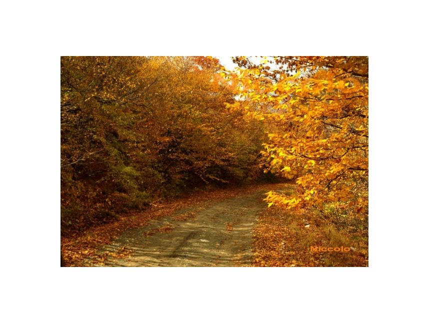 სექტემბერი ტური რკონში