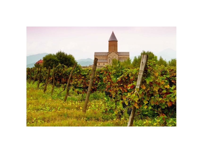 Винный тур в Кахети