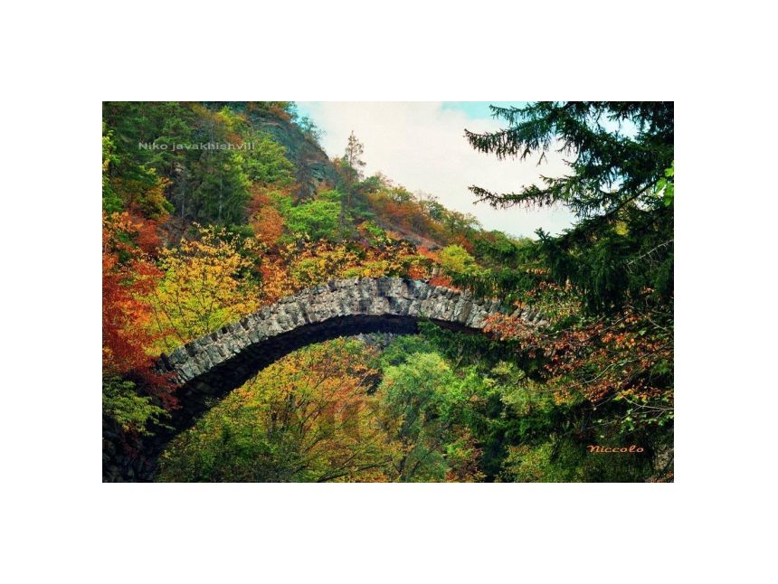 გამოგვყევი რკონში! მხოლოდ