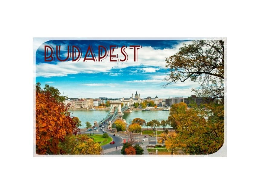 საოცარი ფასდაკლება მხოლოდ დღეს!