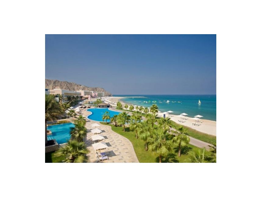 გთავაზობთ ნაადრევ ჯავშნებს შარჟაზე