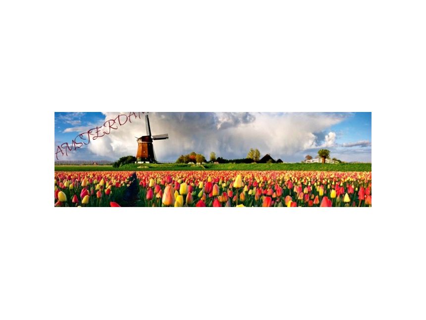 ამსტერდამი / ნიდერლანდები