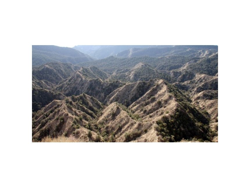 ოქტომბერი ტური ვაშლოვანის ნაკრძალში