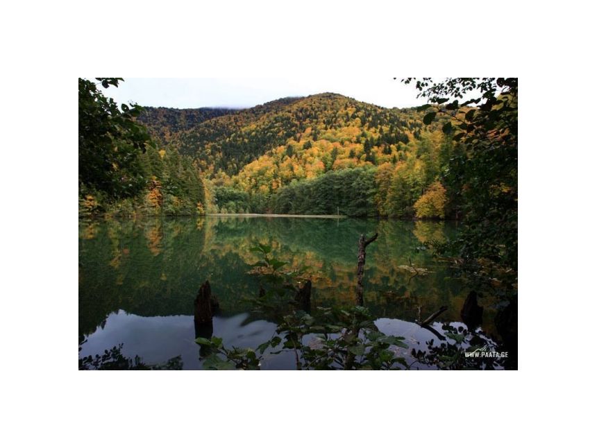 აღმოაჩინე ულამაზესი ძამას ხეობა და ბატეთის ტბა 