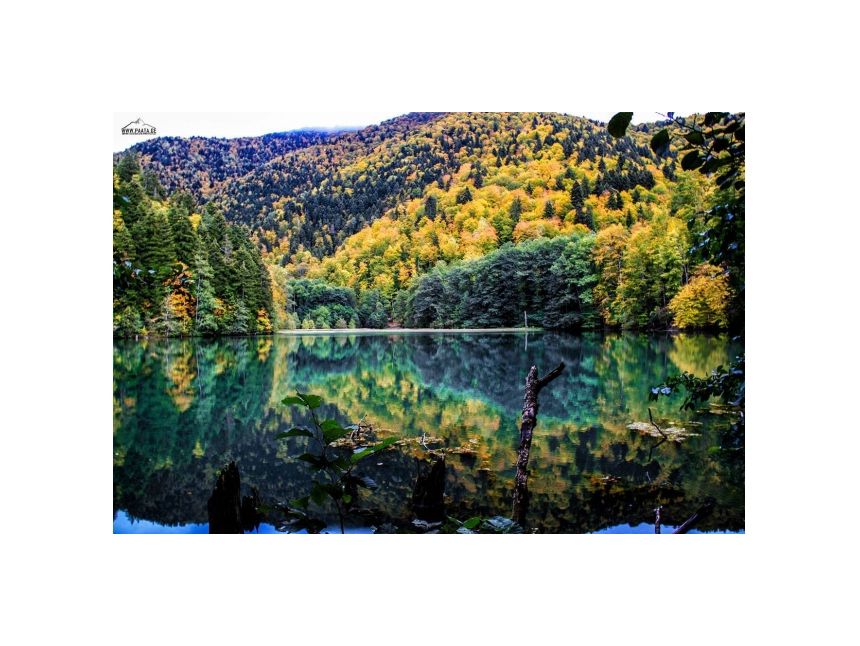 ოქროსფერი ბატეთის ტბა!