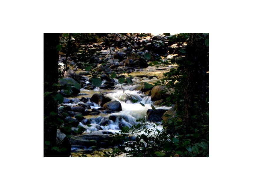 ყოველ კვირას თბილისი-ბორჯომის მიმართულებით მივემგზავრებით,გაატარეთ დაუვიწყარი დღე ,,Vago travel'' ერთად.