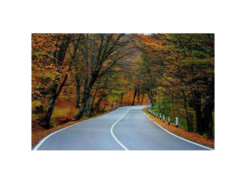 აქცია! შემოდგომით კახეთსი მხოლოდ