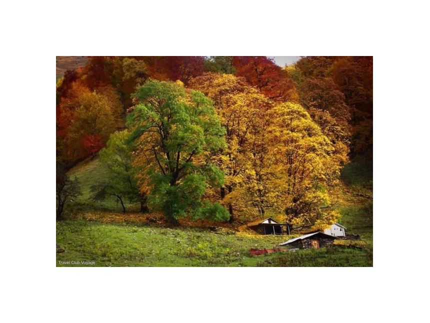 ნოემბერი შემოდგომის გუდამაყარი