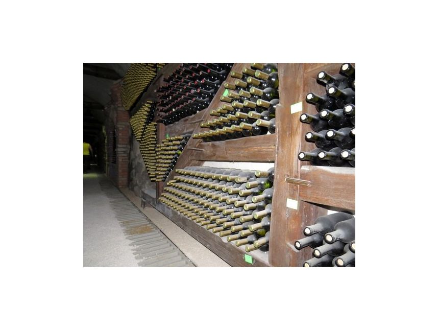 туры по Грузии!