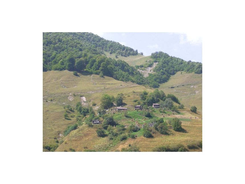 ნოემბერი შემოდგომის გუდამაყარი