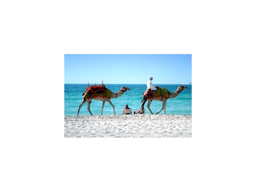 დღიანი ტური > შარმ ელ შეიხი!    მოგზაურობის პერიოდი :  ნოემბერი -  ნოემბერი