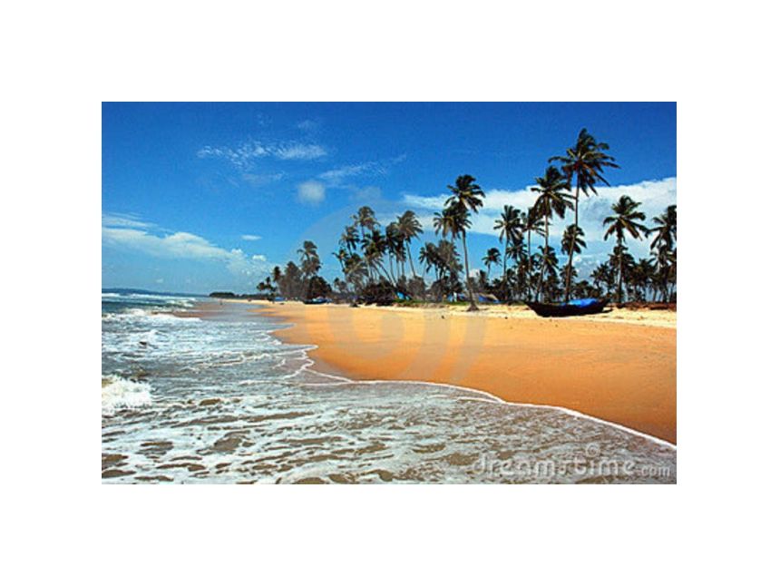 საახალწლო ტური გოაში $