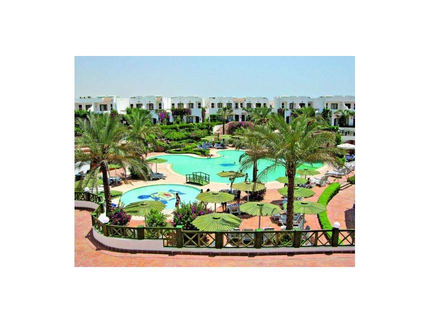 აქცია! ჰურგადა - - დან. დღე დაგვიკავშირდით