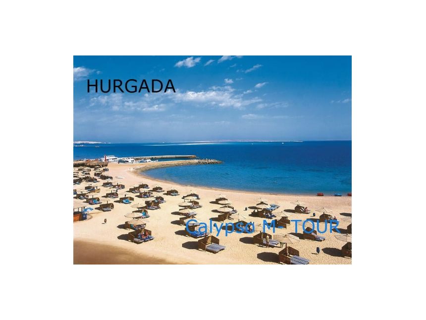 დღის აქცია !!! იჩქარეთ ადგილები შეზღუდულია - ჰურგადა