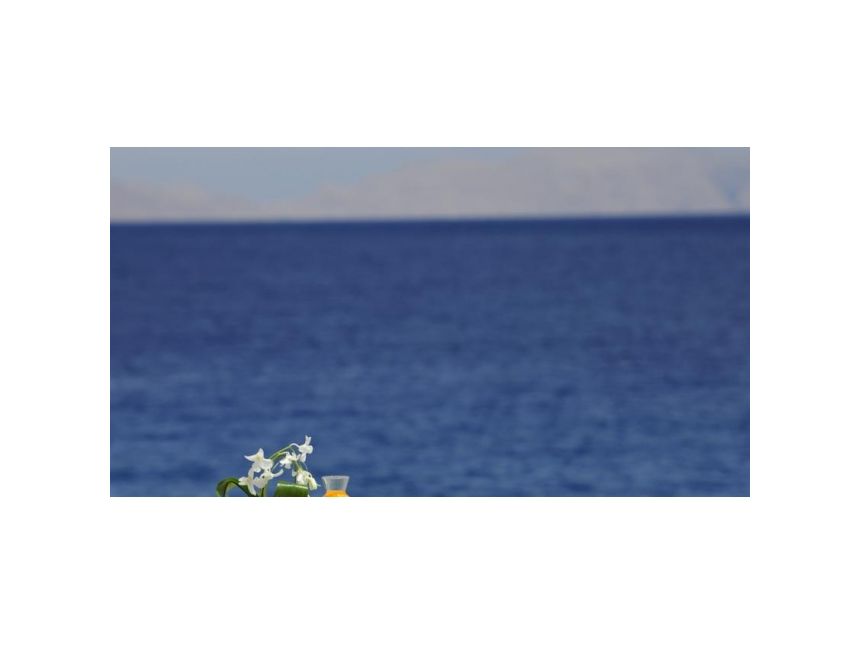 შეხვდით ახალ წელს წითელი ზღვის სანაპიროზე ☀ მოგზაურობის პერიოდი ➡ დეკემბერი - იანვარი