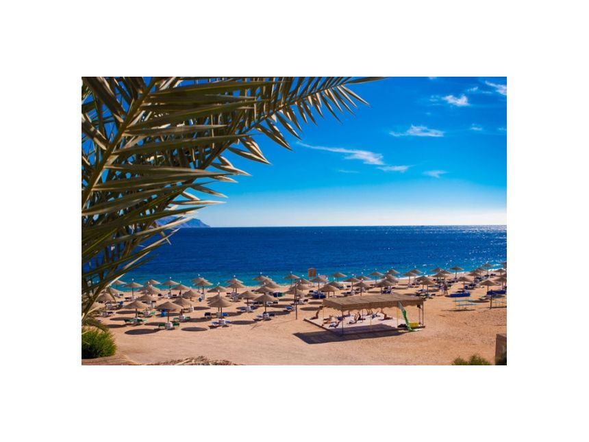 ეგვიპტე / ჰურგადა ☀    მოგზაურობის პერიოდი : . / .