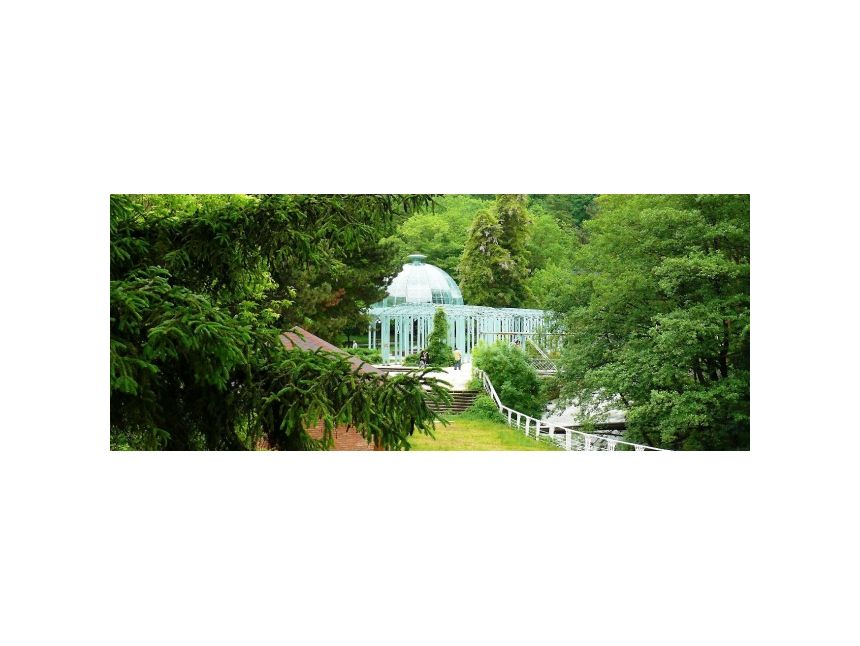 ბორჯომი, ბორჯომის ეროვნული პარკი, ლიკანი – რომანოვების სასახლე, მწვანე მონასტერი, ვარძია, ახალციხე (რაბათი)