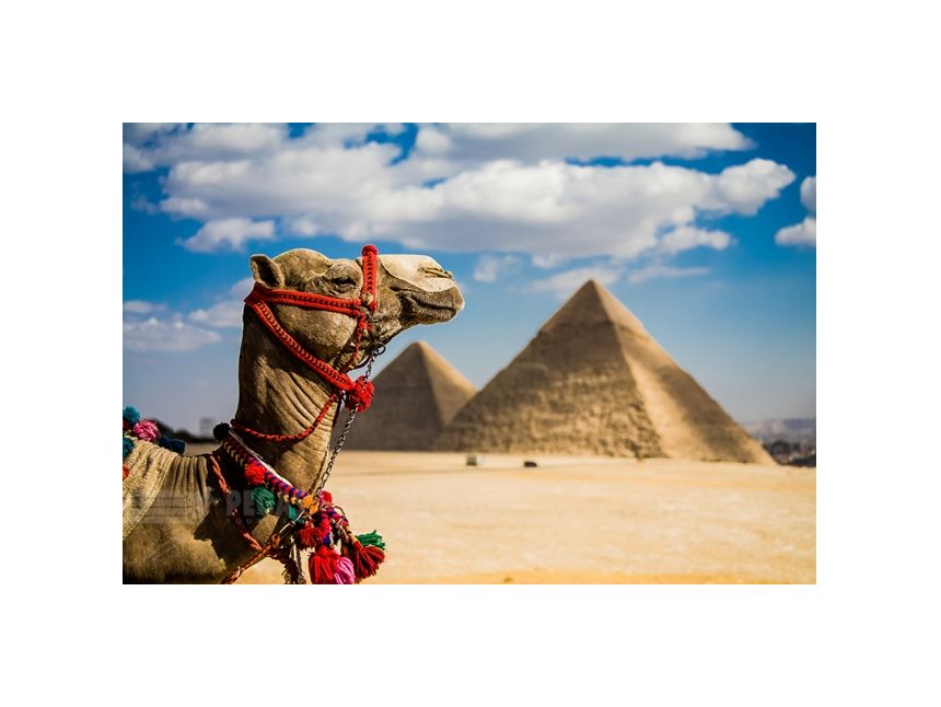 Egypt Sharm El Sheikh