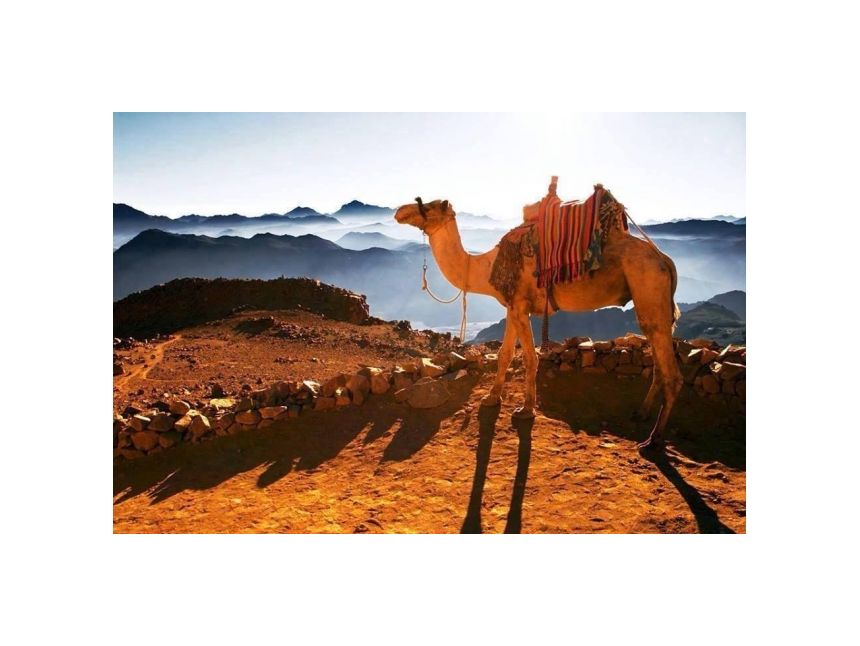 ეგვიპტე / შარმ ელ შაიხი  