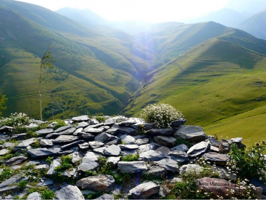 Казбеги тур