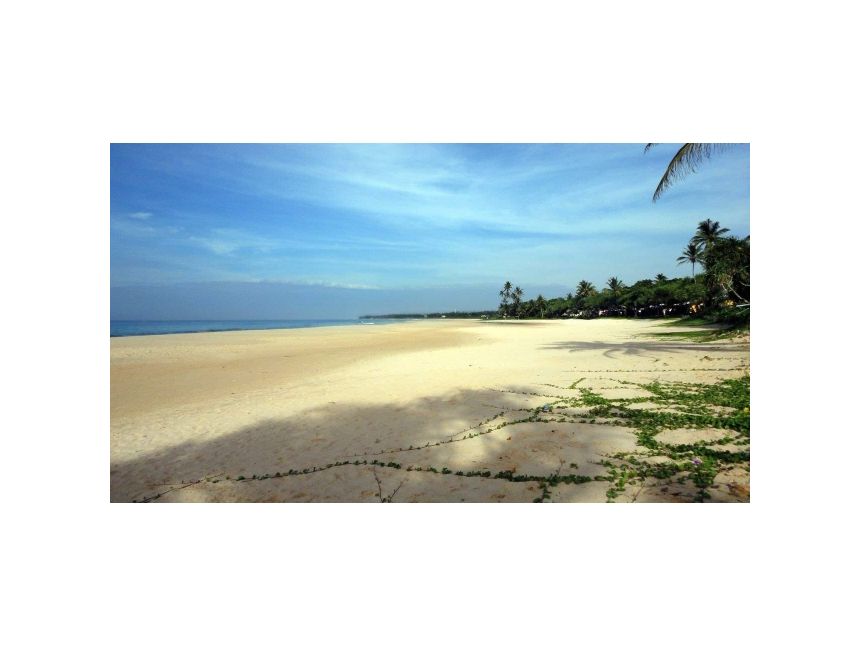 აქცია! შრი ლანკა!