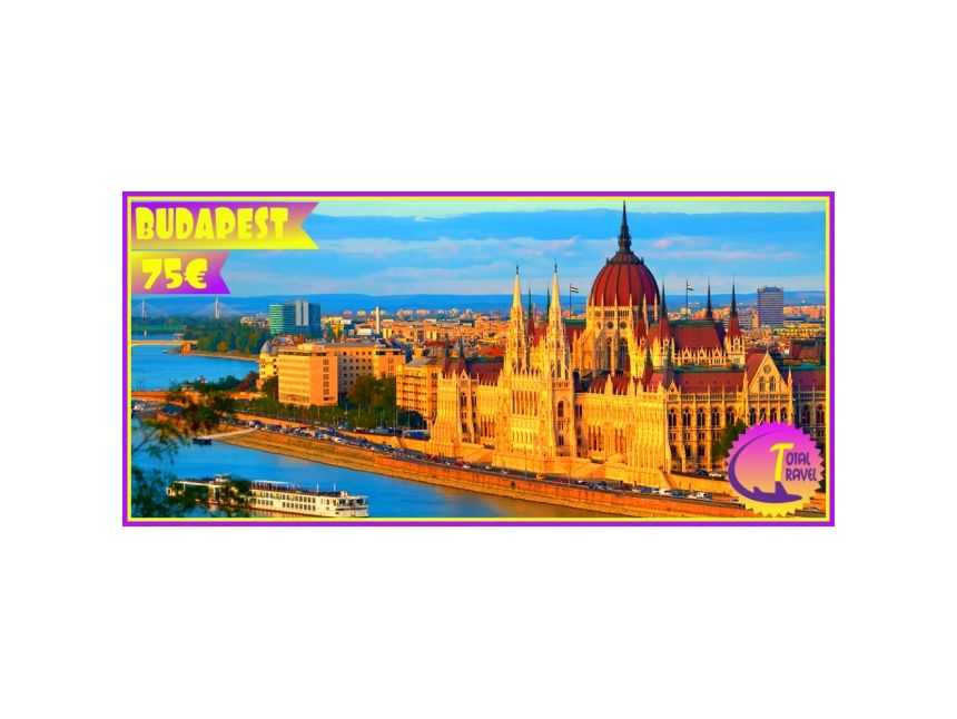 დღის აქცია!