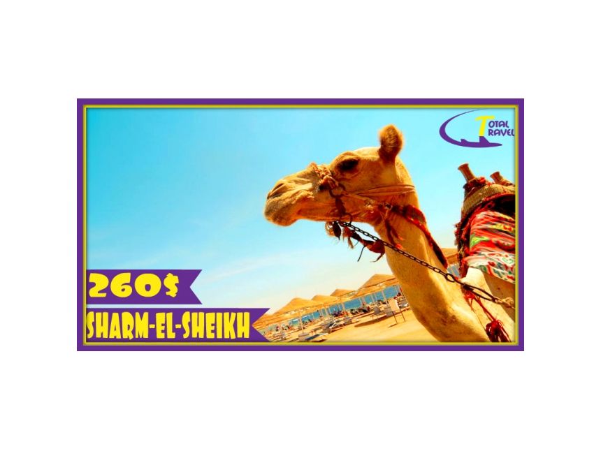 გთავაზობთ შარმ-ელ-შეიხის ტურებს  * სასტუმროებში!