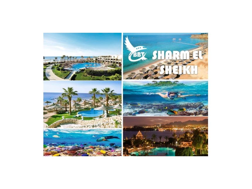 შარმ ელ შეიხი - წითელი ზღვის ულამაზესი სანაპირო!