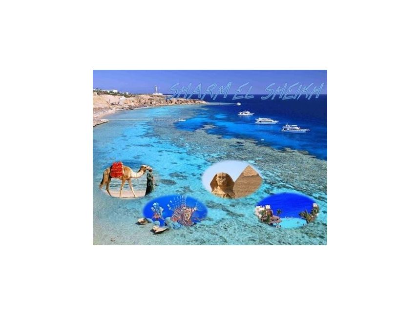 გაატარეთ დაუვიწყარი ახალი წელი შარმ ელ შეიხში!