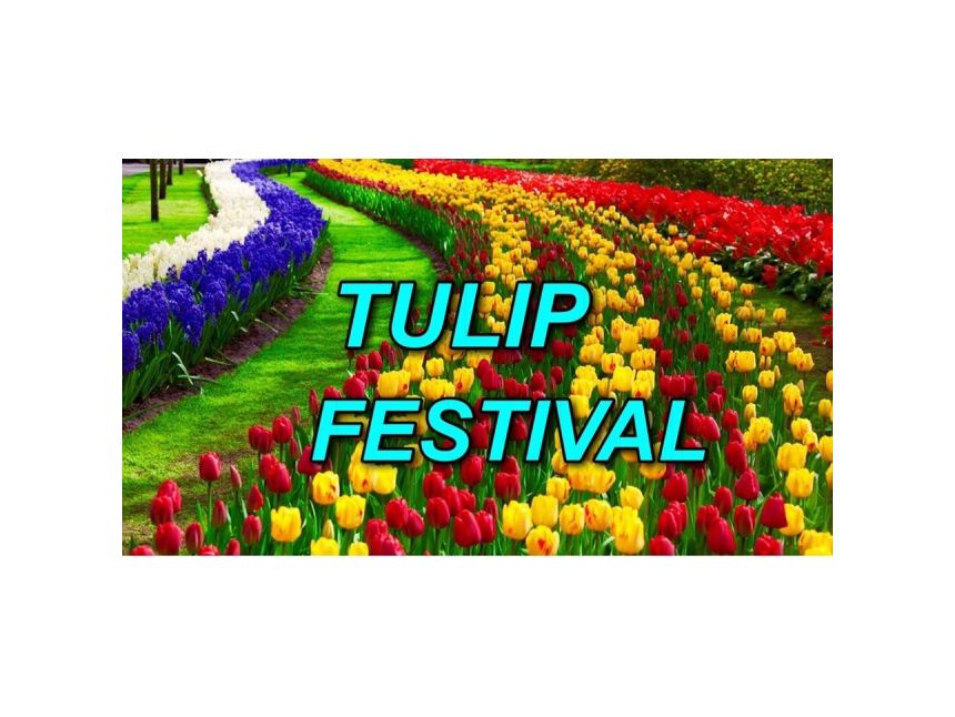 ტიტების ფესტივალი სტამბოლში - მხოლოდ  ევროდ!!!